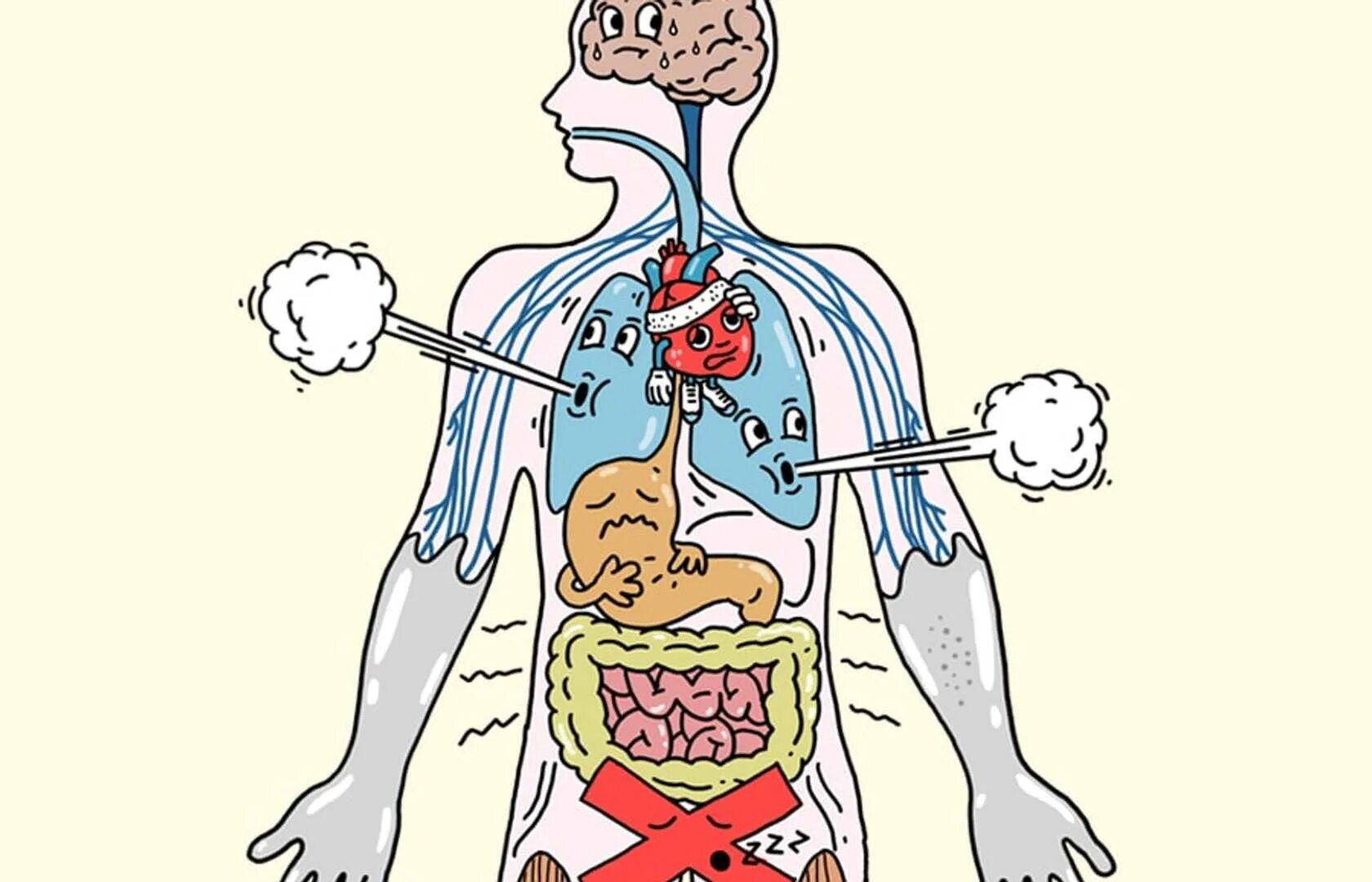 Как организм заболевает. Стресс органы. Стресс изображение органов. Стресса на организм человека. Системы организма человека.