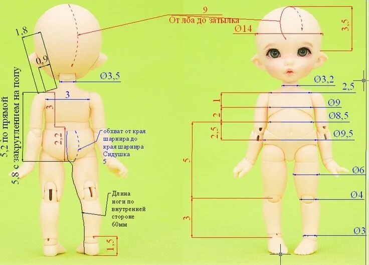 Размеры кукол. Лекала шарнирных кукол. Выкройка шарнирной куклы. Кукла Размеры тела. Тело пупса