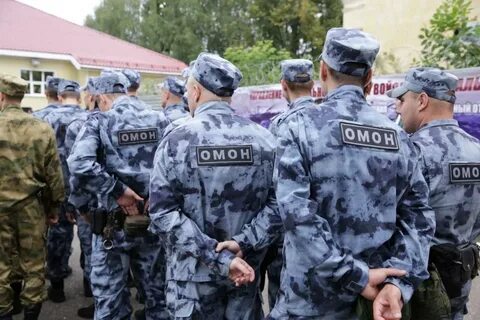 Новый омон