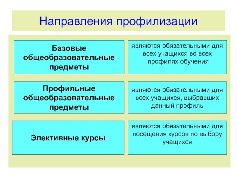 Направление образования примеры. Направления профильного обучения. Тенденции образования профилизация. Направление и профиль обучения это. Профилизация образования примеры.