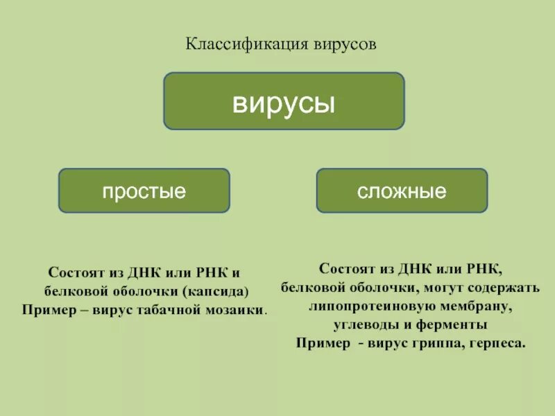 Вирусы отличает. Вирусы простые и сложные схема. Простые и сложные вирусы таблица. Простые и сложные вирусы отличия. Классификация вирусов простые и сложные.