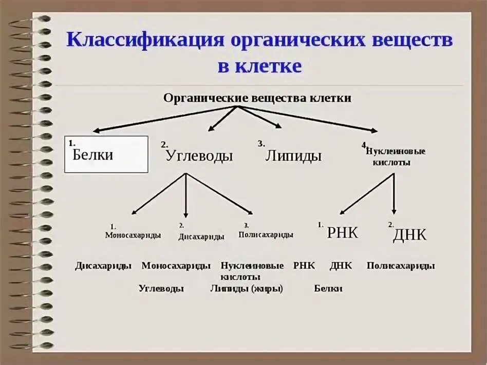 Схему классификации органических соединений белки. Строение и функции органических веществ клетки. Схема классификации органических соединений биология. Схема классификация органических веществ биология.