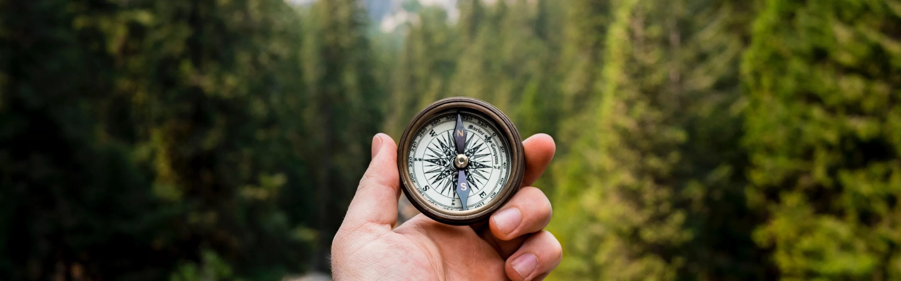 Стороны света горизонта. Останься компасом прошу образом. Ангел в тумане. Компас в руке. Компас в тумане.