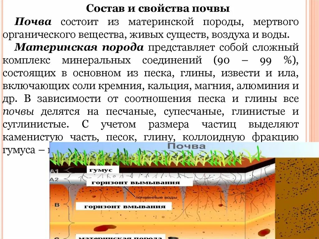 Органические свойства почвы