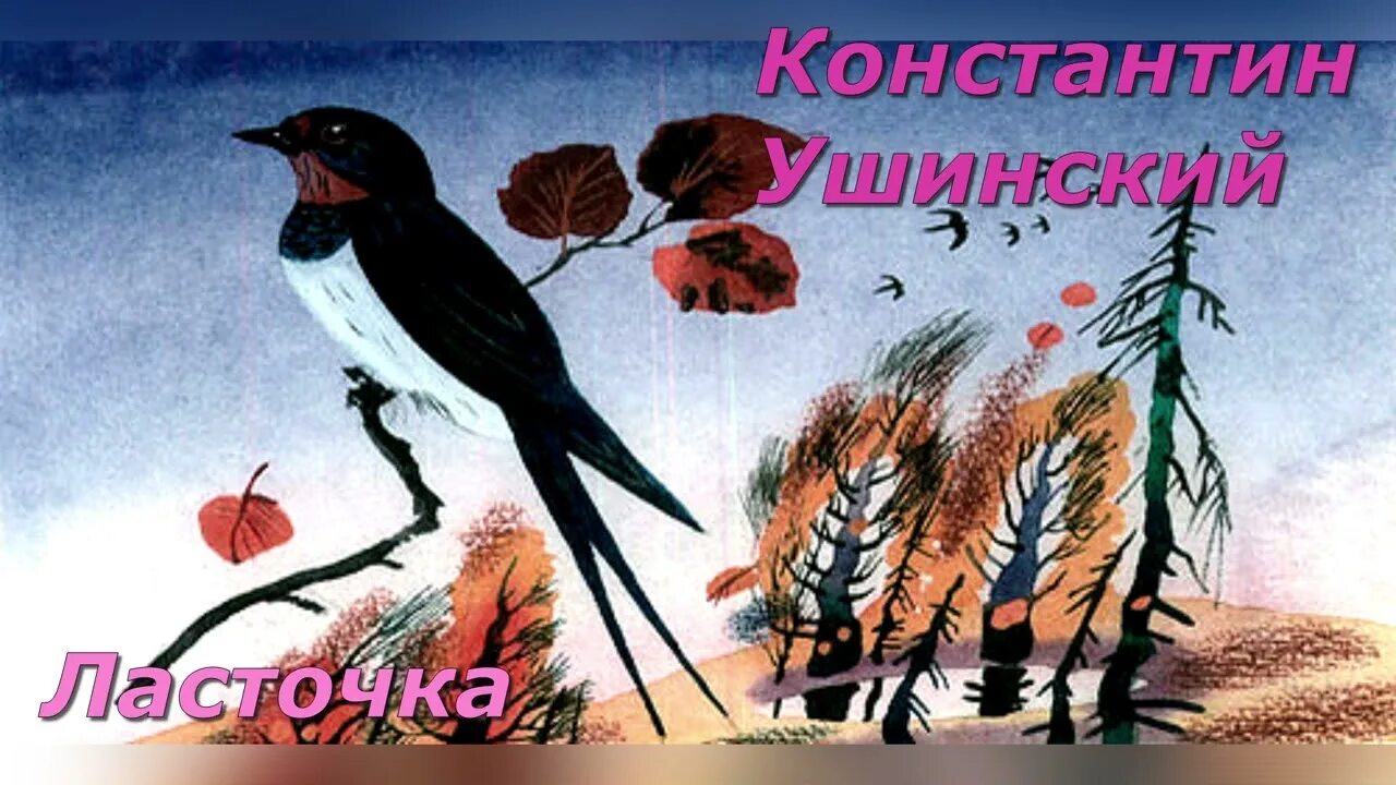 Константин дмитриевич ушинский ласточка. Птичка. Д. Ушинский «смелая ласточка». Ушинский «смелая ласточка».