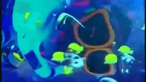 Слушать песню морская черепашка