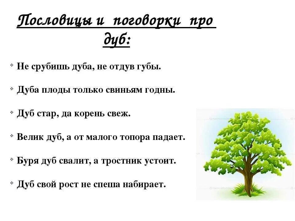 Слова со словом дерево. Пословицы и поговорки о дубе. Поговорки про деревья. Пословицы и поговорки о деревьях. Загадки про деревья для дошкольников.