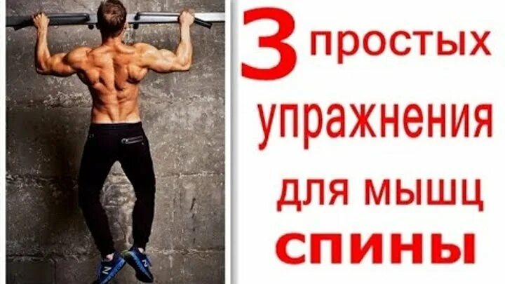 Упражнения на спину дома без турника. Упражнения на спину без турника. Синдром широкой спины. Спина без железа. Упражнения на спину без железа.