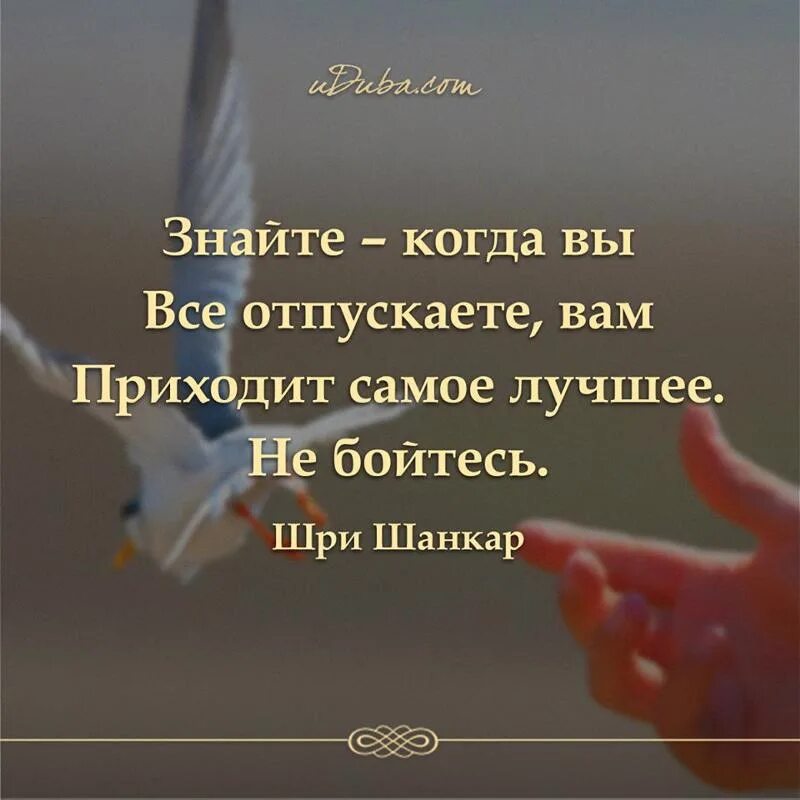 Отпусти все и живи. Отпустить ситуацию цитаты. Цитаты про отпускание. Цитаты про отпускание людей. Отпустить человека цитаты.