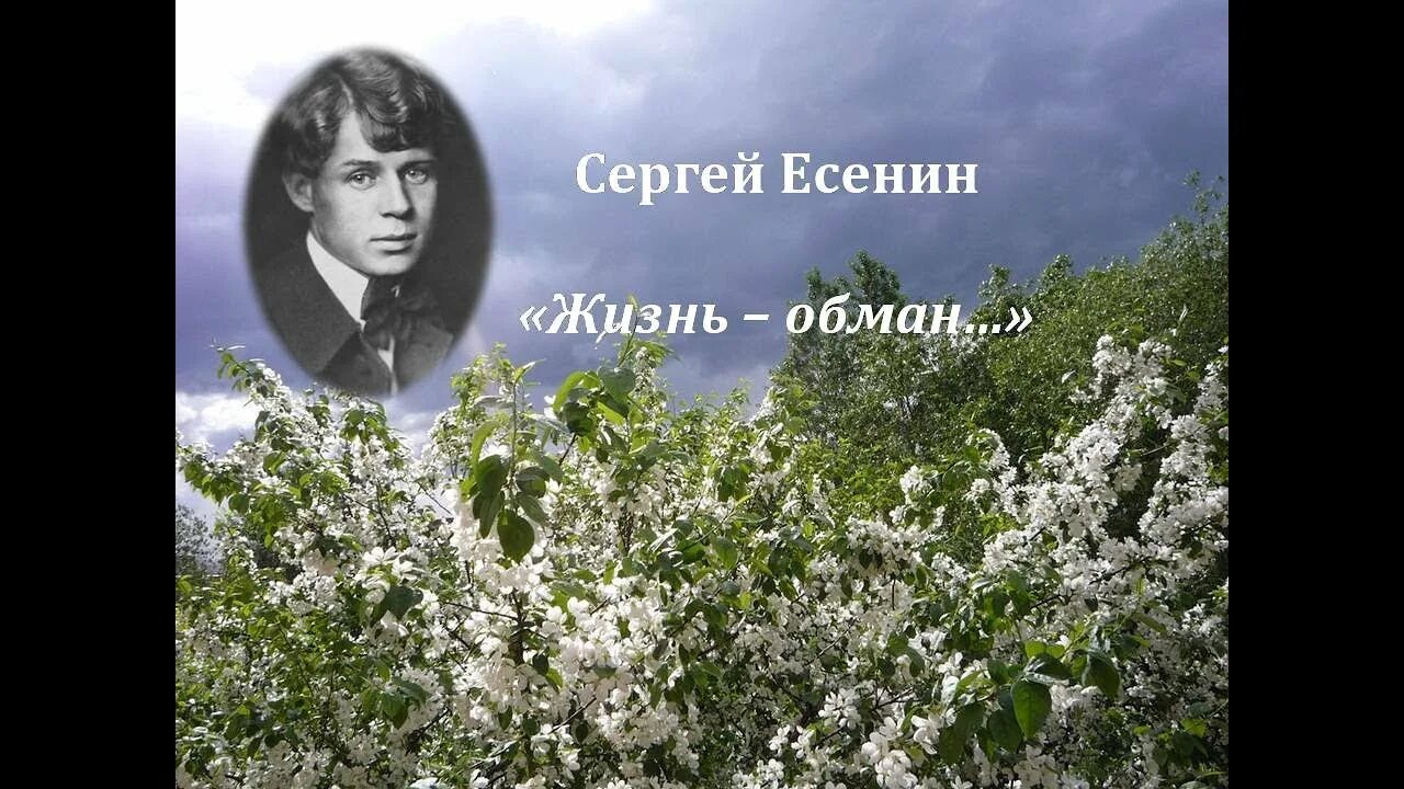 Песня есенин жив. Стихотворение Есенина жизнь обман с чарующей тоскою. Стихи Есенина жизнь обман. Жизнь обман Есенин. Есенин в жизни.