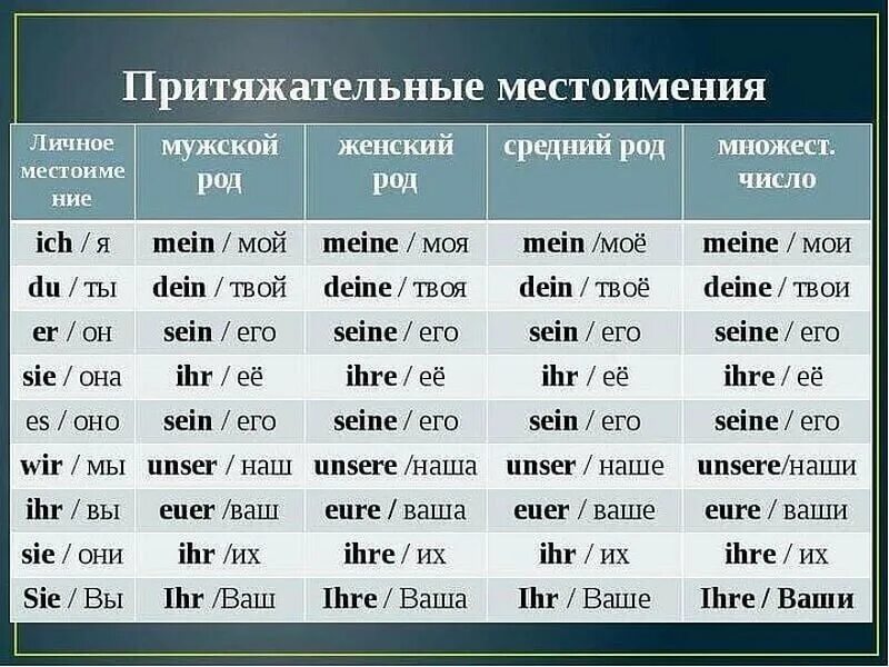 Поставить правильно в немецком. Притяжательные местоимения в немецком языке таблица с переводом. склонение притяжательные местоимения немецкий таблица. склонение притяжательных местоимений в немецком языке. немецкий притяжательные местоимения таблица.