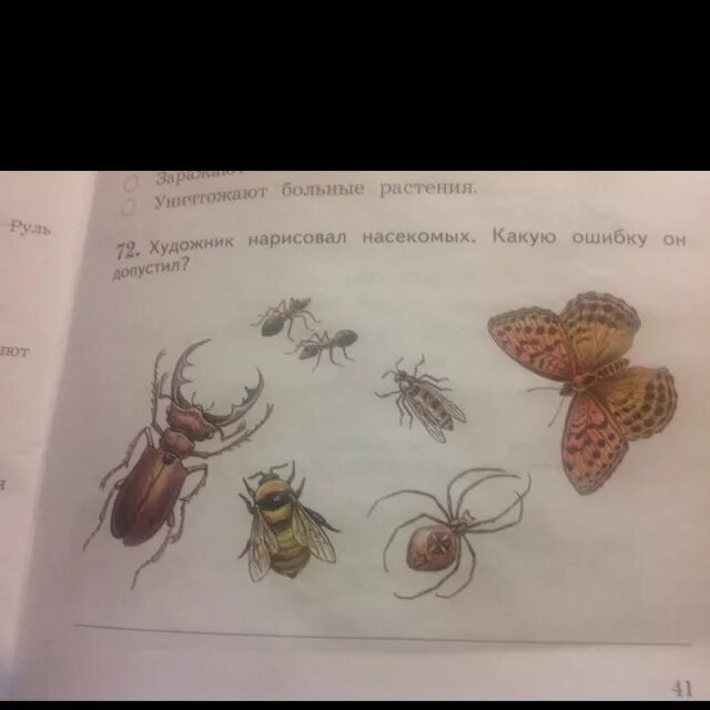 Какую ошибку допустил художник азбука 1 класс. Художник нарисовал насекомых какую ошибку. насекомые нарисованные художниками. художник нарисовал насекомых какую ошибку он допустил окружающий мир. какие ошибки допустил художник.