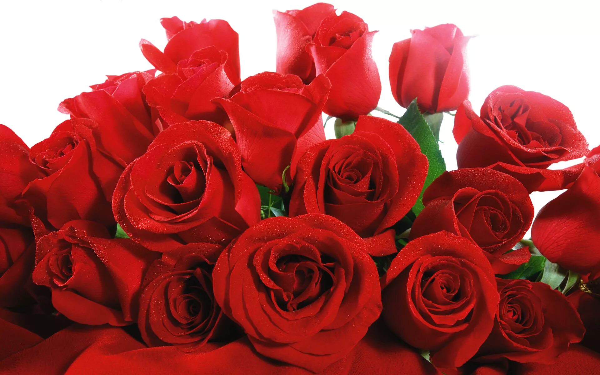 Красные розы. Букет роз. Букет роз открытка. Красивый букет роз.