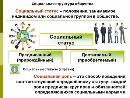 Понятие общество социальный статус и роль