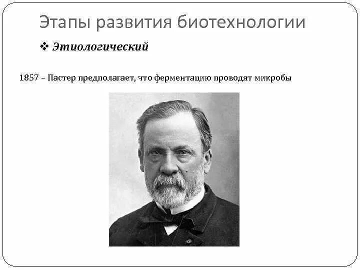 История биотехнологии. Этапы развития биотехнологии. Этапы становления биотехнологии. Исторические этапы развития биотехнологии. Периоды развития биотехнологии.