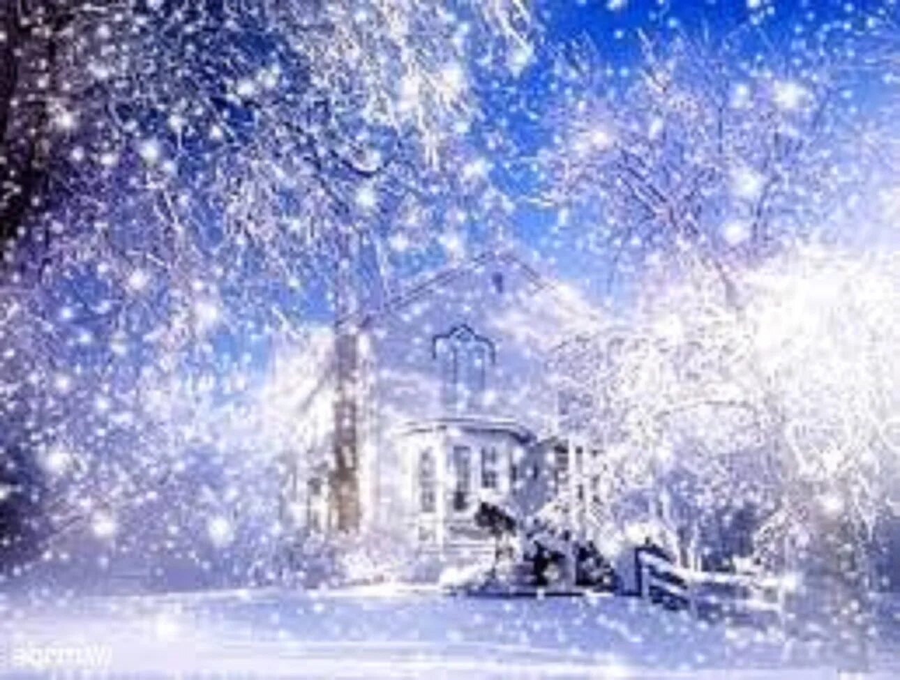 Новогодняя природа. В новогоднем лесу. Новогодняя ночь в деревне. Падает снег в городе. Новогодняя зима.