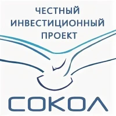 Проект сокол