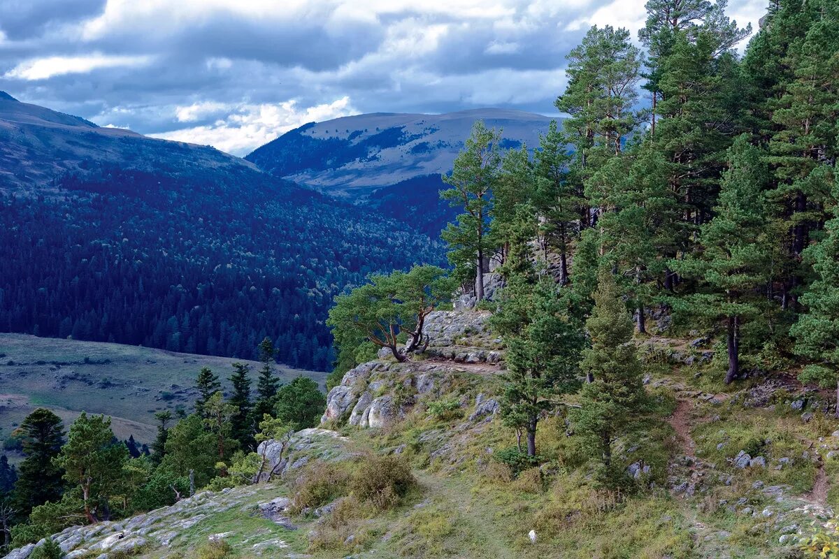 гора плато лаго-наки адыгея. горы плато лагонаки. адыгея тур. лагонаки высота над уровнем. лагонаки виды.