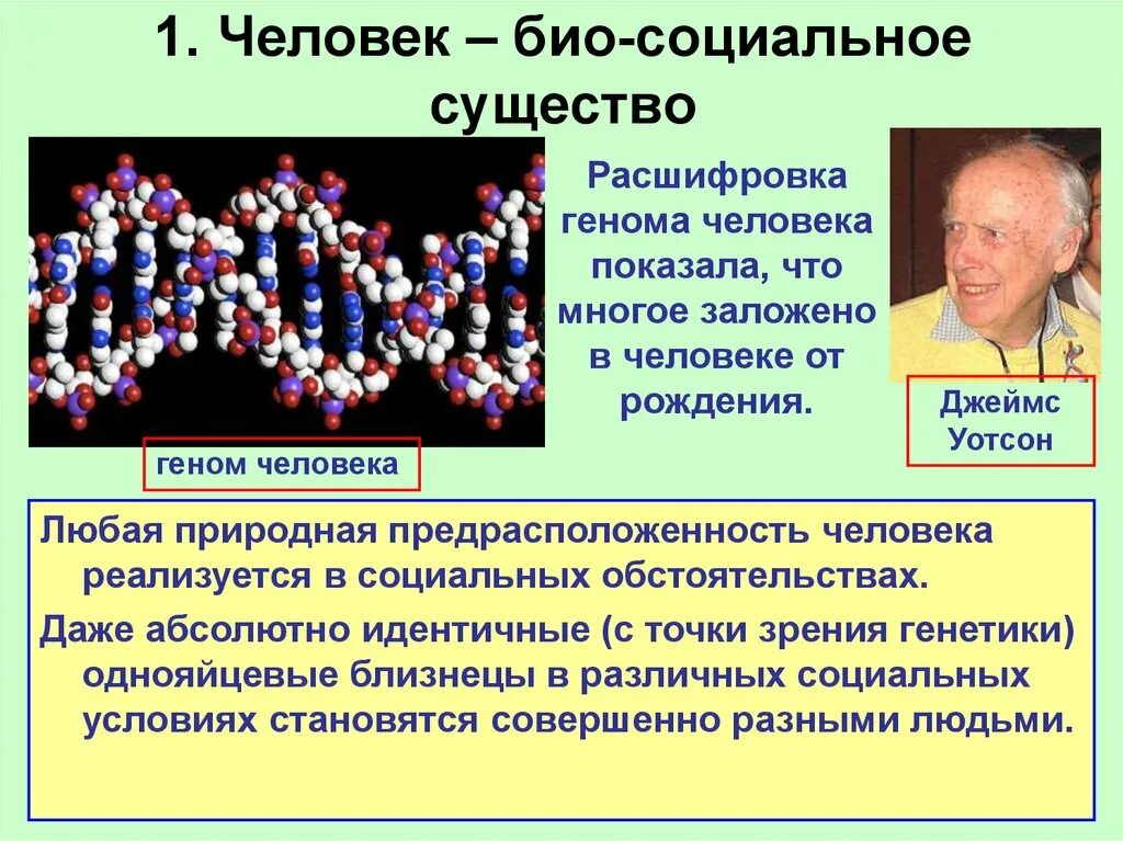 Человек в системе социальных связей. Человек - био-социальное существо - презент