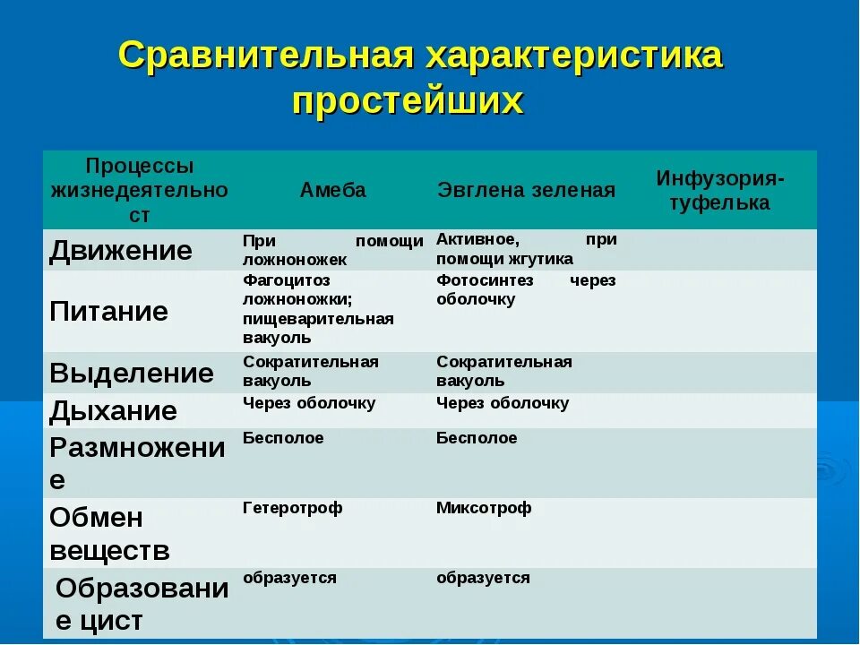 Сравнительные характеристики 2 подцарств одноклеточных и многоклеточных