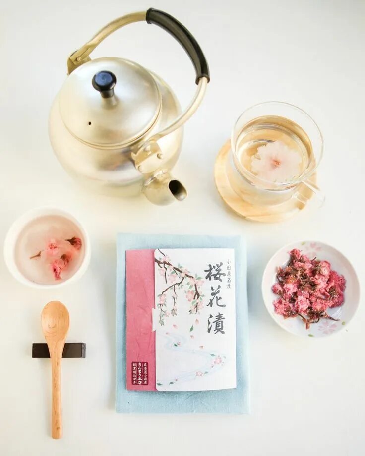 Cherry blossom ice tea kittyfish. Cherry blossom ice tea kittyfish. Cherry blossom ice tea kittyfish. Cherry blossom ice tea kittyfish. Cherry blossom ice tea kittyfish.