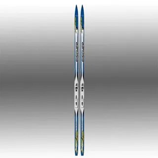 Fischer 80