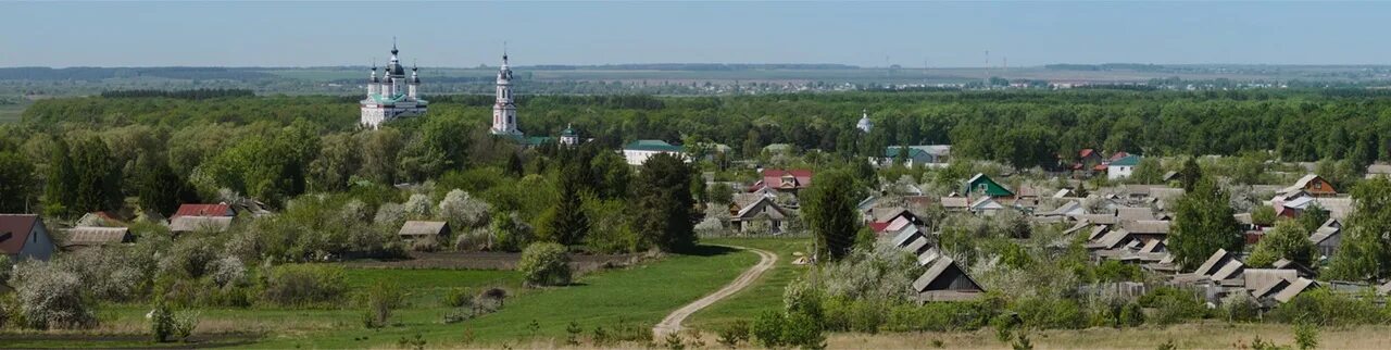 Село Наровчат Пензенская область. Наровчатский район село Наровчат. Наровчат (Пензенская Губерния). Город Наровчат Пензенской области.