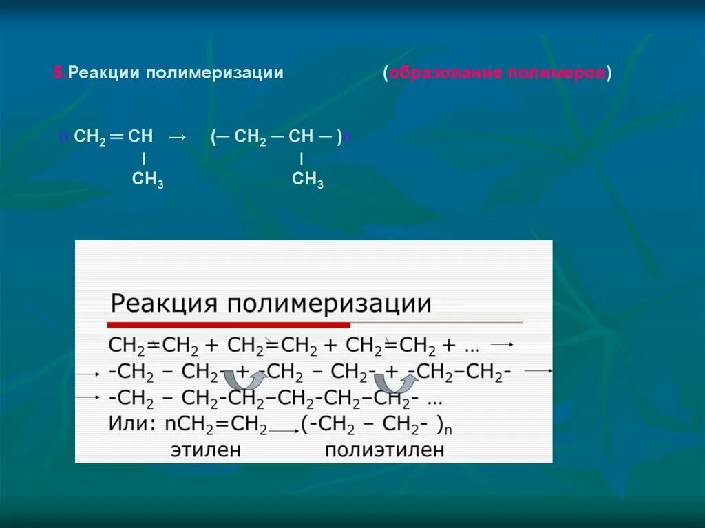 Пятерка реакции. Реакция полимеризации. Ch2 ch2 реакция полимеризации. Ch2 Ch ch3 полимеризация. Укажите реакцию полимеризации.