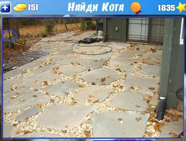 Найди кота одноклассники. Найти кота на картинке. Найди кота одноклассники. Найди кота. Игра найди котика.