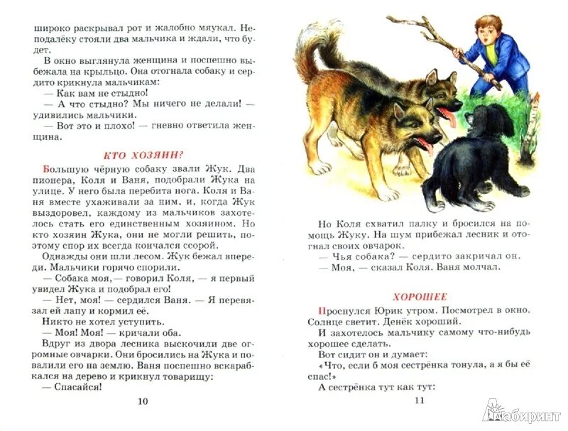 Картинки к рассказу кто хозяин. 1 кл в. Осеева кто хозяин иллюстрации. Осеева иллюстрации к рассказам. Рассказ кто хозяин.