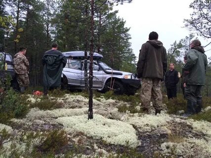 Погода в вирандозере от метеостанции