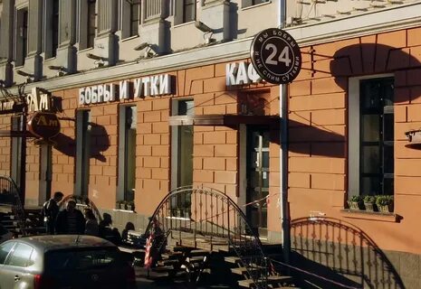 Бобры и утки