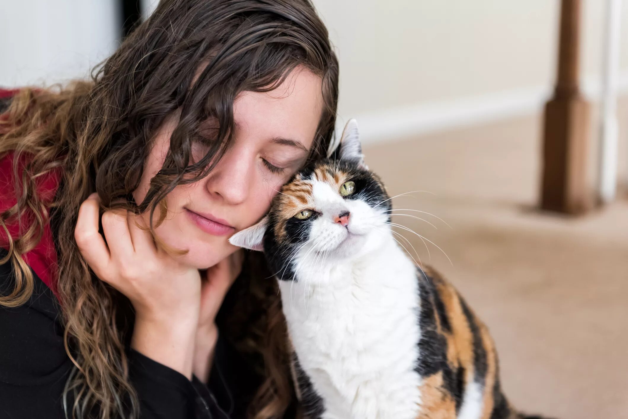 Кошка и хозяин. Человек и кошка фотосессия. Женщина с кошкой. Pet owner