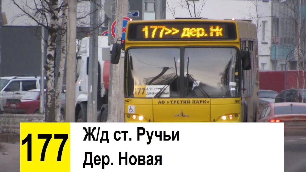 Маршрут 177 автобуса. Автобус 177. Автобус санкт-петербург. Автобус 177. Лиаз 5256.