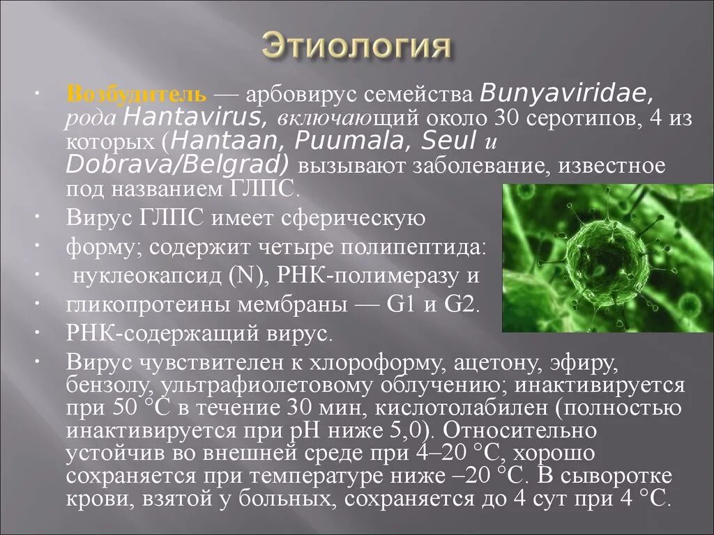 Характеристика вируса ГЛПС. Геморрагические лихорадки ГЛПС этиология. ГЛПС возбудитель заболевания. Геморрагическая лихорадка этиология.