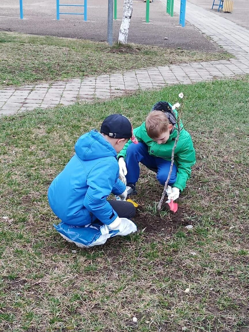 Орленок эколог. Трек Орленок эколог. Орленок эколог название. Орлёнок эколог 3 класс. Отчет по треку орленок эколог