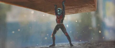 Ant m