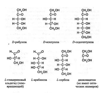 11 углеродов название