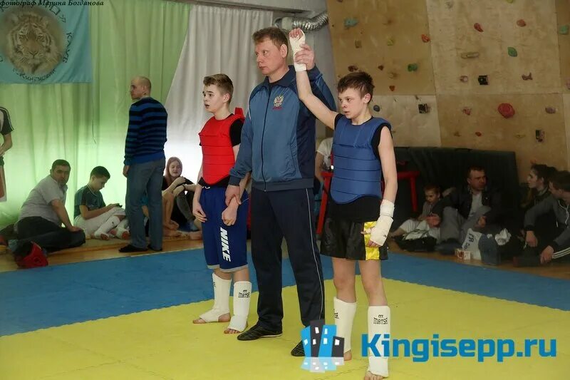 Карате кингисепп. Ушу саньда. Карате кингисепп. Кингисепп спорт. Кингисепп дзюдо.