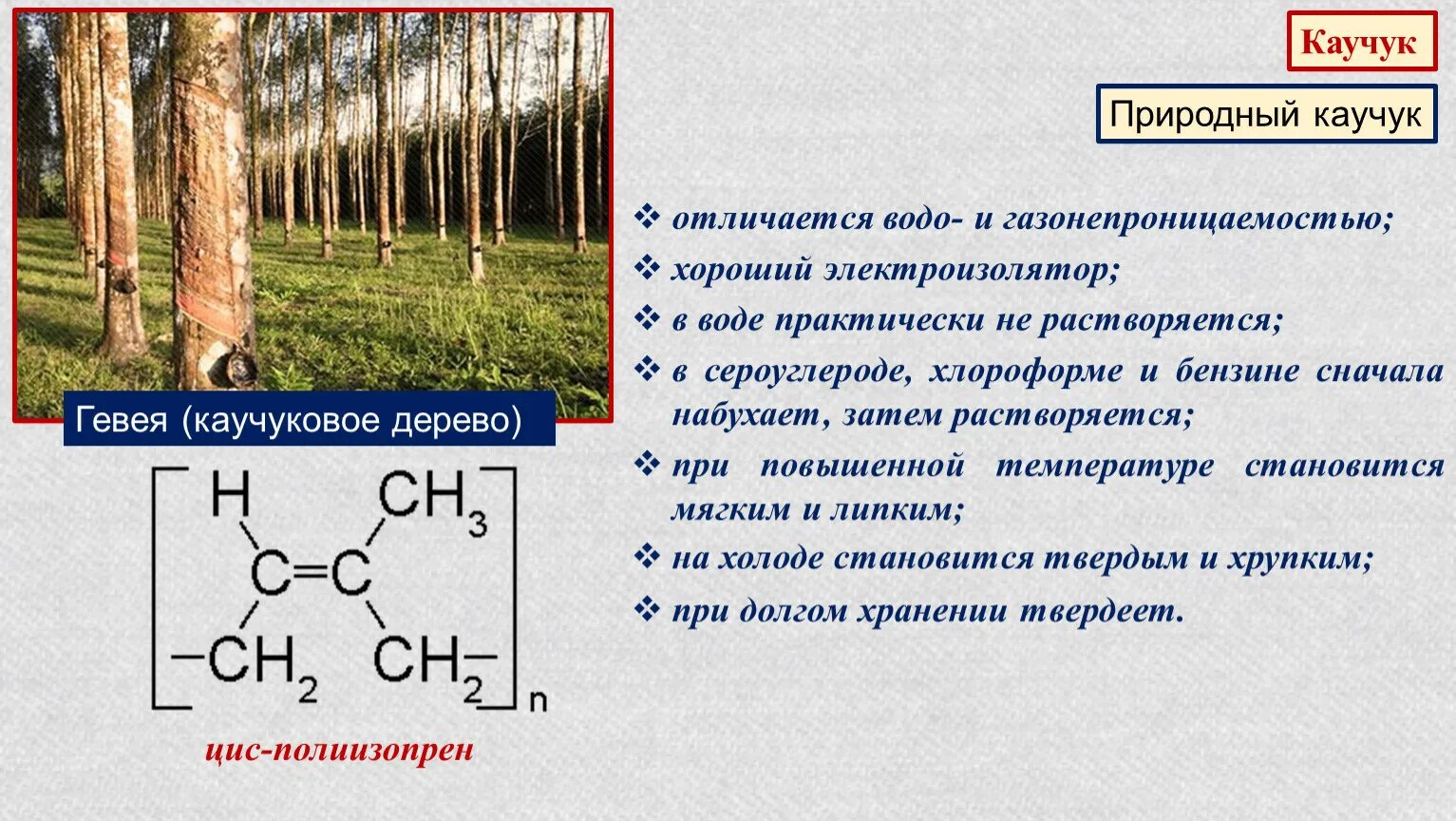 Каучуки свойства и применение. Природный каучук. Натуральный природный каучук. Природный и искусственный каучук. Природный и синтетический каучук.