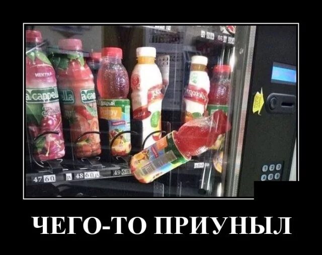 Приуныл как пишется правильно. Приуныл прибухни картинка. Кот приуныл прикол. Приуныл мем. Демотиваторы смешные.