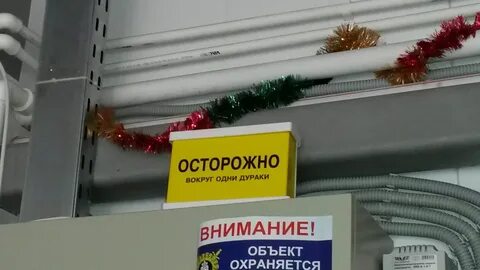 Кругом одни они