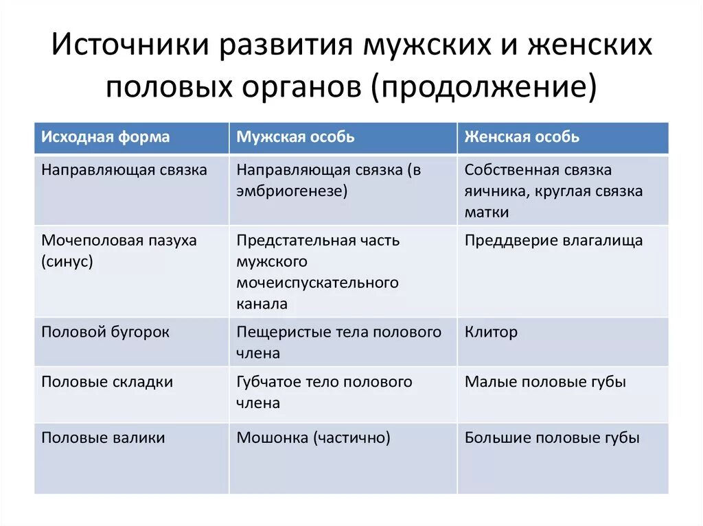 Источник развития половых органов. Источники развития мужских половых органов. Источники развития внутренних половых органов. Источники развития женских органов.