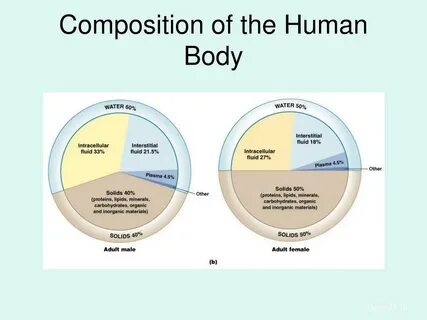 Body composition