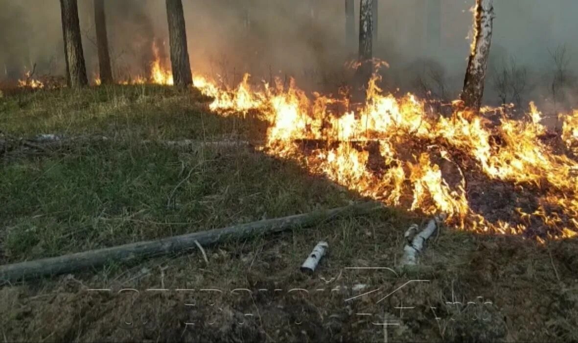 Какой противопожарный режим в свердловской области. Особый противопожарный режим. Лесной пожар Полевской. Пожар в Буланаше Свердловской области. Внимание особый противопожарный режим.