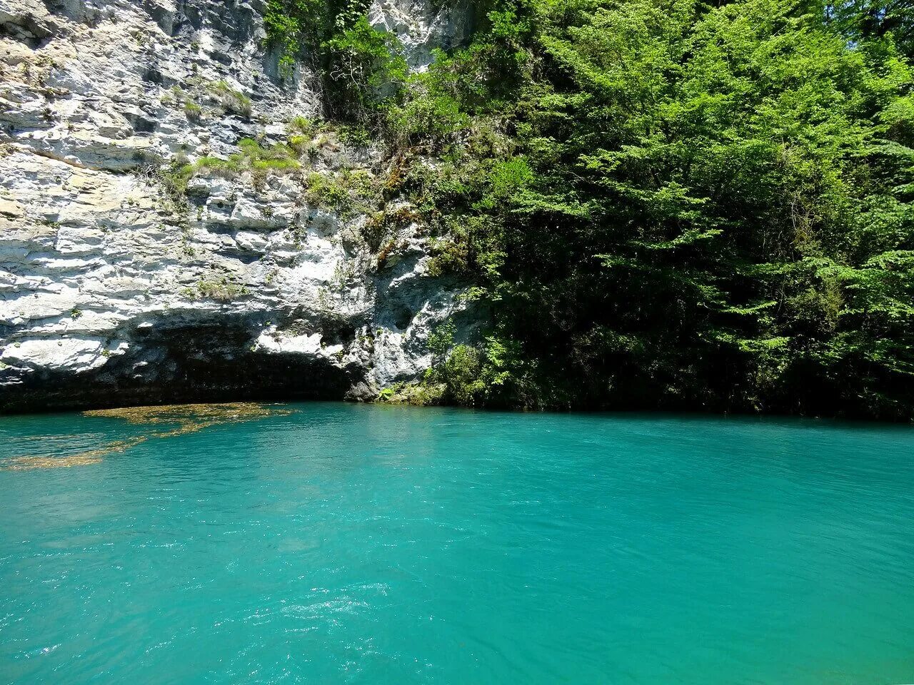 Цандрипш абхазский. Абхазия голубое озеро Рицца. Цандрипш Абхазия озеро Рица. Абхазия Цандрипш голубое озеро. Гантиади Абхазия.