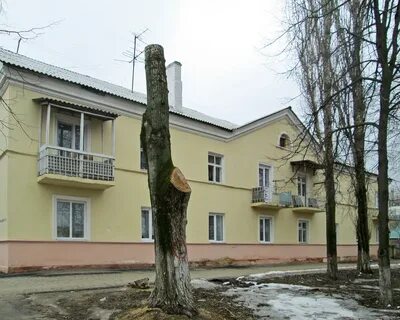 Курск жж