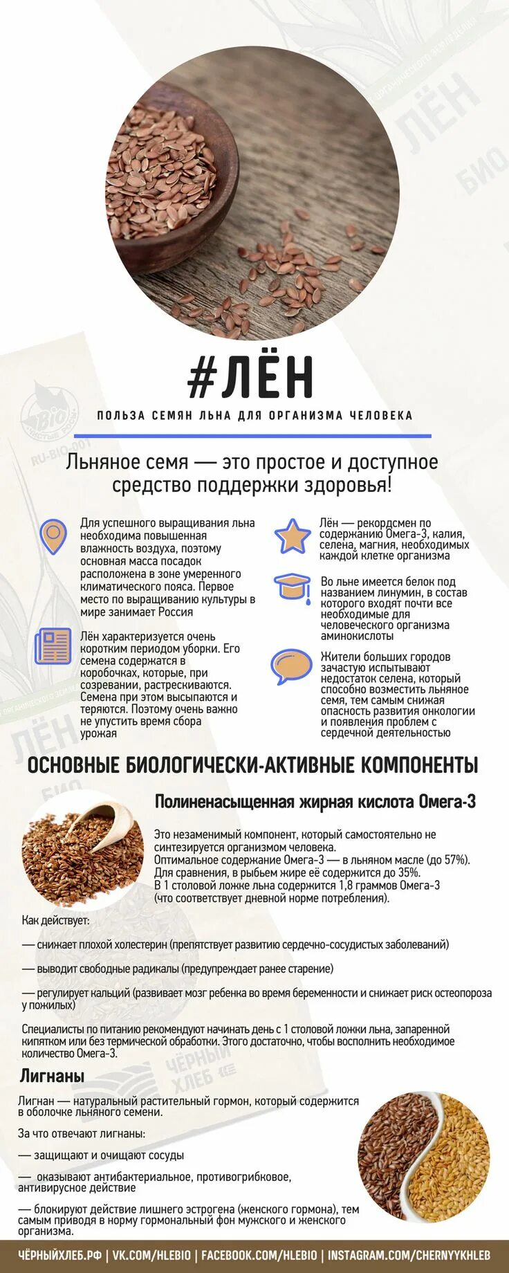 Польза лена. Чем полезны семена льна. семена льна инфографика. польза семян льна. семена льна польза.