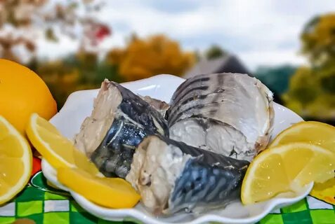 Можно есть сырую скумбрию