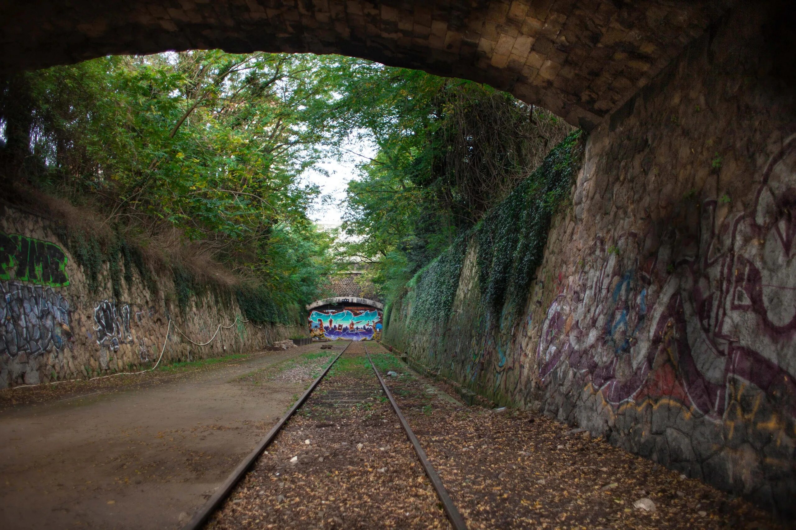 Подземная дорога то. Заброшенная железная дорога petite ceinture, Франция. Железнодорожная линия la petite ceinture. Заброшенная железная дорога в Париже. Заброшенная железная дорога будущего.